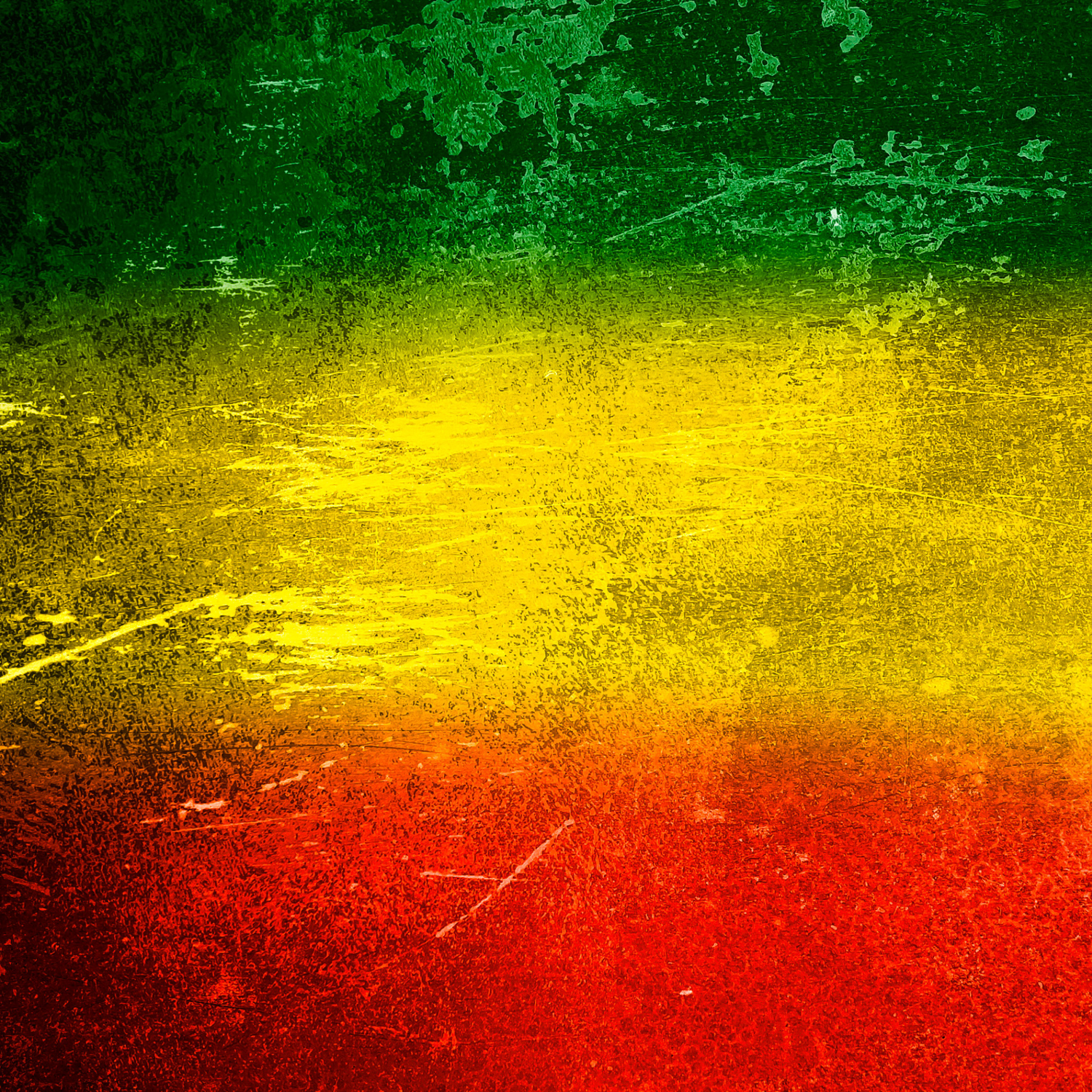 King Kashi Collection