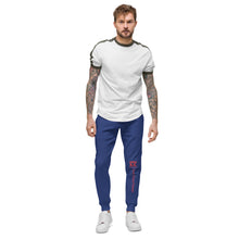 Load image into Gallery viewer, King Kashi Unisex fleece sweatpants
